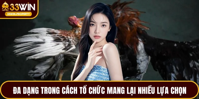 Đa dạng trong cách tổ chức mang lại nhiều lựa chọn