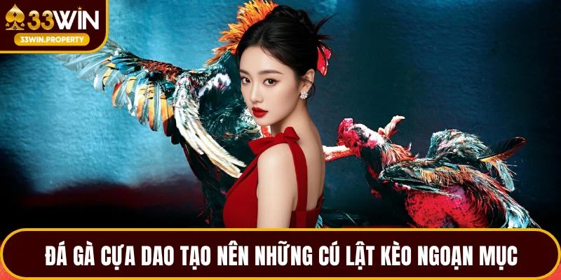 Đá gà cựa dao tạo nên những cú lật kèo ngoạn mục