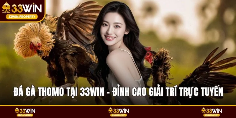Đá gà Thomo