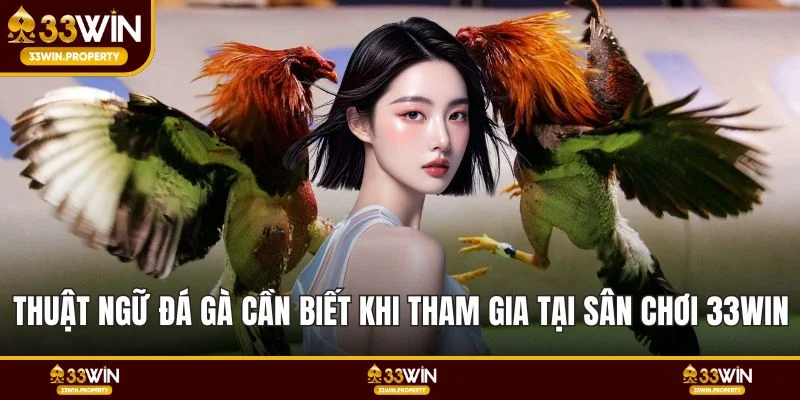 Thuật ngữ đá gà